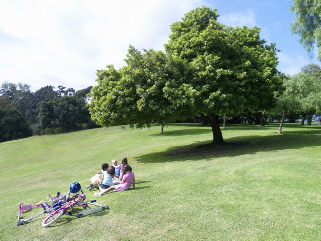 Parque 
